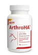 Витамины и минералы Dolfos ArthroHA – витаминно-минеральная добавка для опорно-двигательной системы собак 90 табл (521-90) - изображение 1