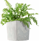 Doniczka z wkładem Kadax Szara 30 cm (5903699495247) - obraz 4