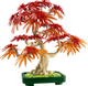 Конструктор LEGO Botanicals Бонсай из японского красного клена 474 детали (10348) - изображение 3