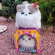 Интерактивная игрушка Shantou Yisheng пушистый котик Fluff pets Белый с серыми ушками (BL-335-2) - изображение 2