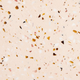 Deska do krojenia Homla Terrazzo lastriko z nożykiem (5906496743177) - obraz 5