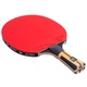 Ракетка для настольного тенниса Butterfly Timo Boll Force FL (6110300002) - изображение 5