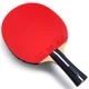 Ракетка для настольного тенниса Butterfly Ovtcharov Prime C (Carbon) FL (6116500002) - изображение 3