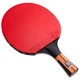 Ракетка для настольного тенниса Butterfly Timo Boll Comfort Junior FL (6110100009) - изображение 5