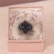Брелок подвеска Кот Кошка мягкая на сумку (27754) - изображение 1