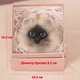 Брелок подвеска Кот Кошка мягкая на сумку (27754) - изображение 3