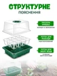 Набор лотков для проращивания семян (5 шт.) з подсвенткой, мини теплица - изображение 2