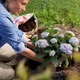Торфосмесь для рододендронов Compo Sana 50 л (4008398117511) - изображение 2