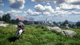 Gra PC Crimson Desert Deluxe Edition (Klucz elektroniczny) (4020628550974) - obraz 7