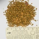 Удобрение Osmocote Bloom 2-3 м, фасовка 1 кг 12+7+18+Te - изображение 5