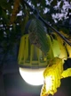 Фонарь уничтожитель комаров Ranger Easy light (1110-RA9933) - изображение 12