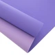 Килимок для фітнесу та йоги двошаровий TPE+TC SP-Planeta Sport Top Fit 3046-4 6мм бузковий - зображення 3