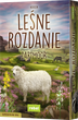 Gra planszowa Rebel Leśne rozdanie: Dartmoor (edycja polska) (3558380135197) - obraz 1