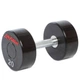 Гантель цельная профессиональная LIFE FITNESS Gemini Sport GA-80081-20, 1 шт 20 кг - изображение 1