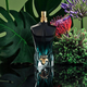 Парфумована вода для чоловіків Jean Paul Gaultier Le Beau Le Parfum 75 мл (8435415062213) (955555911550778) - Уцінка - зображення 2