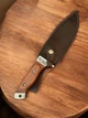 Ніж туристичний (№2267) KN83 Gorillas BBQ - зображення 5