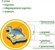 Набір магнітів "Великі Динозаври" Magdum ML4031-06 EN - изображение 4