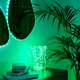 Гирлянда светодиодная Twinkly Dots RGB Smart LED 400 ламп черный кабель 20м (TWD400STP-BEU) - изображение 5