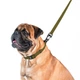 Нашийник COLLAR EVOLUTOR (КОЛЛАР ЕВОЛЮТОР) для собак середніх, великих і ДУЖЕ великих порід, пряжка з надміцного авіаційного алюмінія з площадкою для гравіювання, 25-70 см, Хакі (424331) - зображення 3