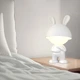 Светильник-ночник LED с аккумулятором Dreamy Bunny Kite K25-315-1-1, белый - изображение 5