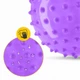 М'яч для пілатесу, йоги, реабілітації 4FIZJO 20 см (масажний) Violet (P-5905973406086) - зображення 5