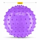 М'яч для пілатесу, йоги, реабілітації 4FIZJO 20 см (масажний) Violet (P-5905973406086) - зображення 4