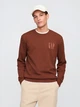 Свитшот на флисе мужской GAP 382493909 2XL Коричневый (1159845553) - изображение 1