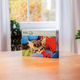 Puzzle Ravensburger Kot z włóczką 100 elementów 12001363 (4005555013631) - obraz 3