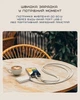Ремешок-кабель Satechi On-the-Go USB-C 60W Sand (1.5 m) (ST-LOTGLW) - изображение 15