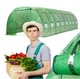 Сборная теплица 8х3х2 метра Volso Polska, каркасный парник 24м² с затеняющей сеткой, Арочная теплица для дачи - изображение 5