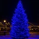 Гірлянда Нитка вулична 50 м 500 LED з 8 режимами IP65, Світлодіодна новорічна гірлянда на чорному проводі від мережі для підсвічування дерев, кущів, фасаду, тераси, балкона та огорожі, Синій - зображення 5