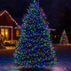 Сетевая новогодняя гирлянда нитка уличная Рождественская фея 50 м 500 LED диодов 8 динамических режимов гирлянда для улицы защита IP 65 черный провод свет Мультицвет - изображение 3