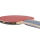 Набор для настольного тенниса Joola Team School 4 Bats 8 Balls (54825) 4914974 - зображення 5