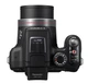 Panasonic Lumix DMC-FZ47 Black - изображение 5