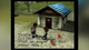 Игра Nintendo GameCube Harvest Moon: A Wonderful Life Europe Английская Версия Б/У - изображение 2