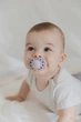 Пустушка BIBS Infinity Silicone Symmetrical (симетрична) – Blossom/Dusky Lilac (2шт в упаковці) 0-6міс. - зображення 10