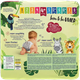 Подгузники Babydream 4+ (9-15кг) 36шт лимитированная серия - изображение 13