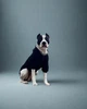 Одежда для собак Худи "LEKS BIG BLACK". SKU 00751. Размер 2XL. Your Stylish Hunter. Худи для собак средних пород. - изображение 2