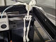Flexi Skeleton антистрес - изображение 2