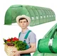 Сборная теплица 10х3х2 метра Volso Polska, каркасный парник 30м² с затеняющей сеткой, Арочная теплица для дачи - изображение 8