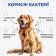 Комбифлор пробиотик (Kombiflor Probiotic) порошок для поддержания баланса микрофлоры кишечника собак и кошек MODES - изображение 3