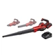 Воздуходувка универсальная аккумуляторная Einhell GE-UB 18/250 Li E 1x4.0Ah (3433560) - изображение 1