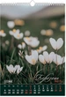 Настенный календарь Buromax Wild flowers 1 пружина А3 на 2026 год (BM.210605) - изображение 4