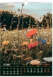 Настенный календарь Buromax Wild flowers 1 пружина А3 на 2026 год (BM.210605) - изображение 11