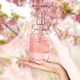 HONEY Melty Moist Repair Shampoo увлажняющий восстанавливающий шампунь для гладкости волос, 440 мл - изображение 2