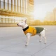 Попона Pet Fashion ROY 3XL Хаки-горчица (4823082432837) - изображение 7