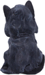 Figurka Nemesis Now Adult Gothic Reapers Feline 16 cm U4930R0 (801269136291) - obraz 3