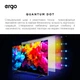 Телевизор ERGO 55JUQ7500 - изображение 11