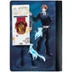 Блокнот А5 60 листов с магнитной закладкой Kite Harry Potter HP25-192, 71010 - изображение 4