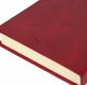 Ежедневник 2026 А5 Leo Planner Persona твердый 25266* - бордо - изображение 6
